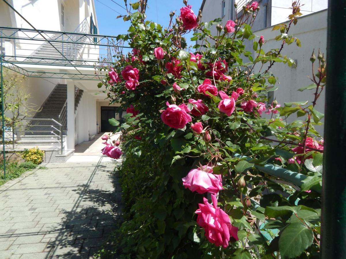 Lemon Tree Apartments Zadar Exteriör bild